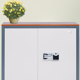 电子密码文件柜